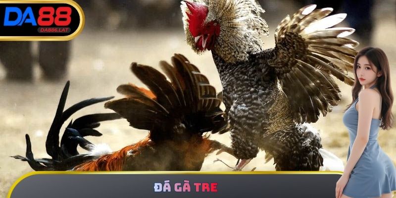 Đá Gà Tre